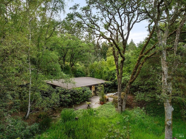 view of yard with a wooded view