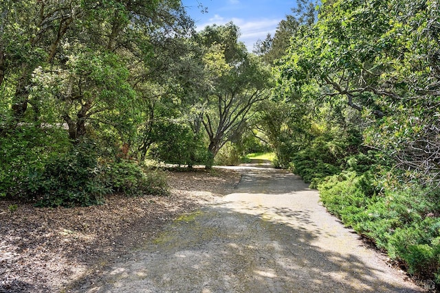 view of street featuring a view of trees