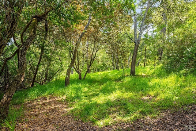 view of landscape featuring a wooded view