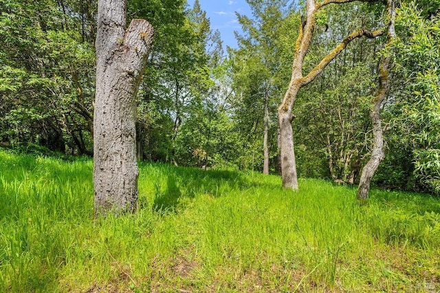 view of landscape