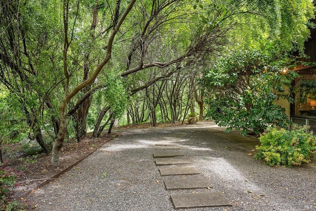 view of street featuring a forest view