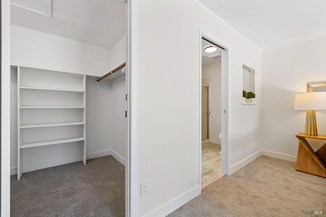 spacious closet with carpet floors