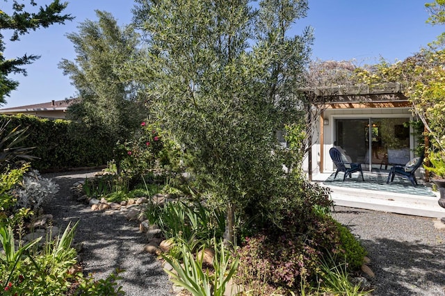 view of yard with a wooden deck