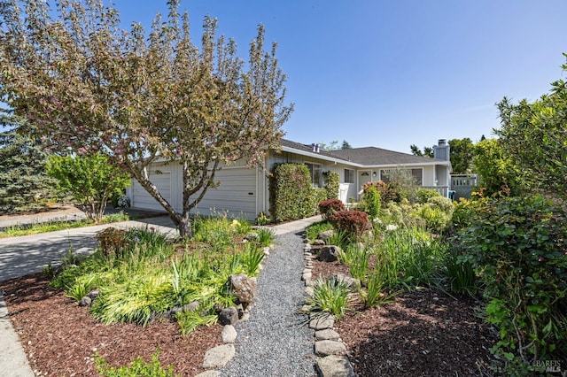 view of property hidden behind natural elements featuring concrete driveway, an attached garage, and a chimney
