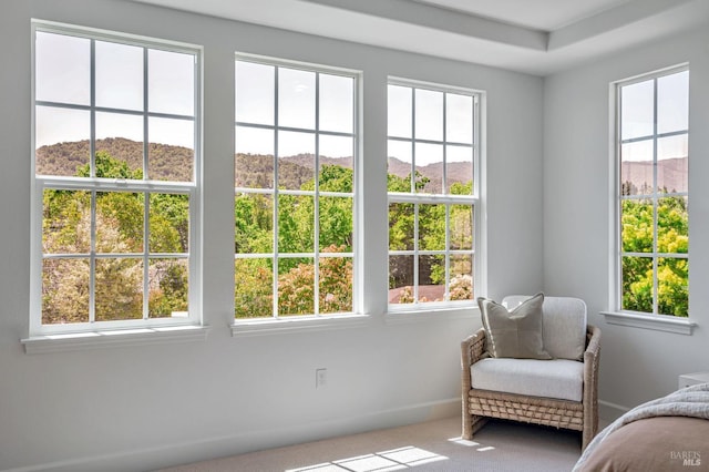 interior space with baseboards, carpet, and a mountain view