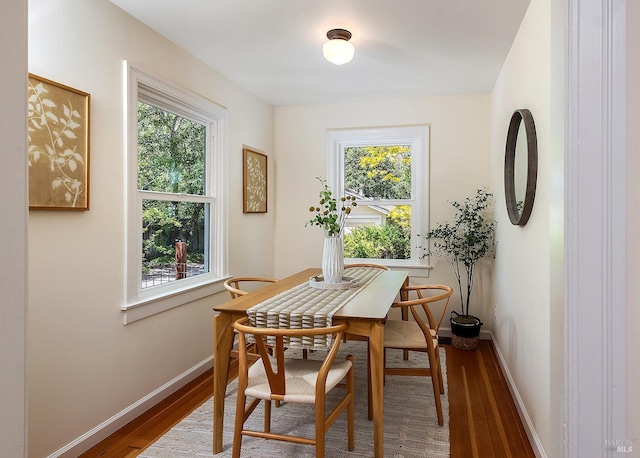 dining space featuring baseboards, a healthy amount of sunlight, and wood finished floors
