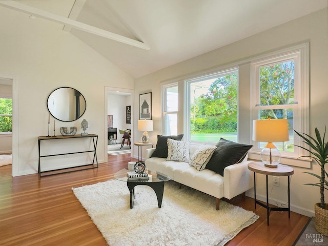 living area featuring high vaulted ceiling, baseboards, and wood finished floors