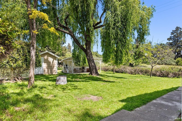 view of yard with an outdoor structure and a storage unit