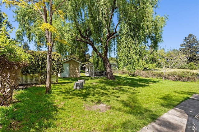 view of yard with a storage unit, an outdoor structure, and fence