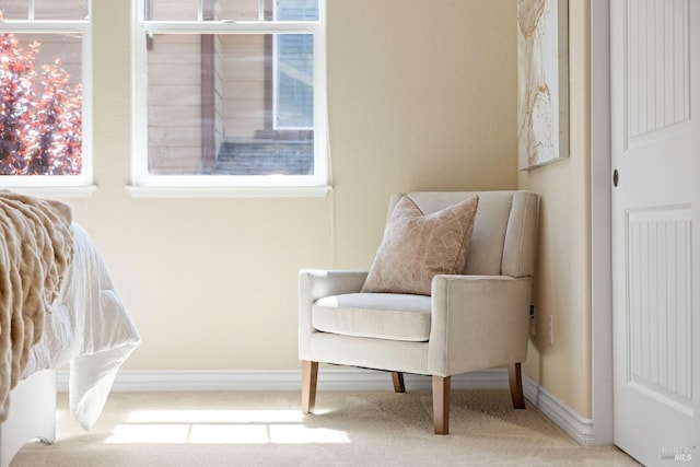 living area featuring baseboards and carpet floors