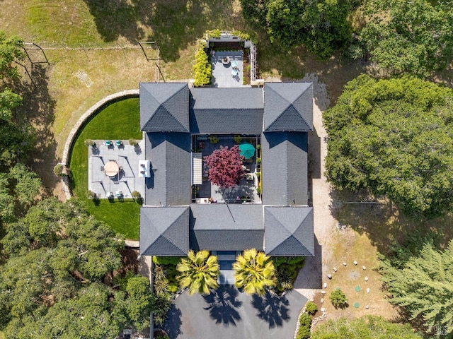 drone / aerial view