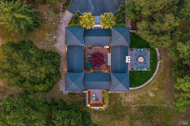 bird's eye view