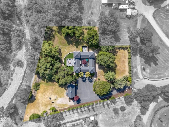 bird's eye view