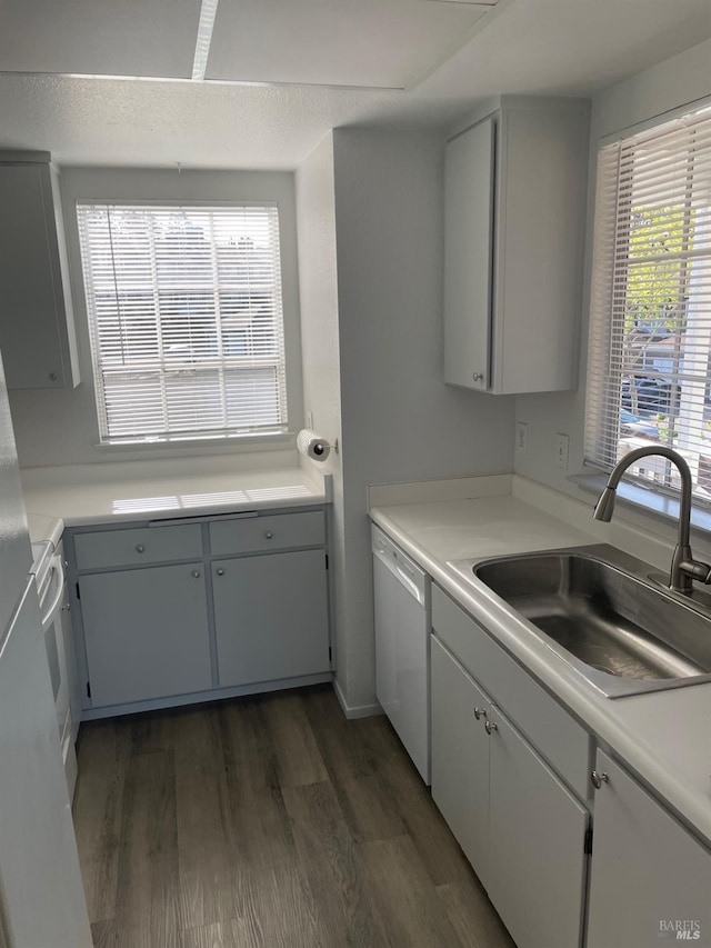 kitchen with light countertops, dishwasher, dark wood-type flooring, and a sink