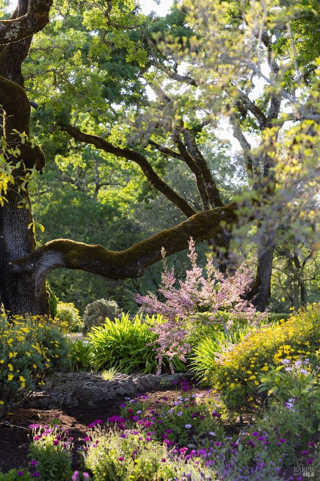 view of nature