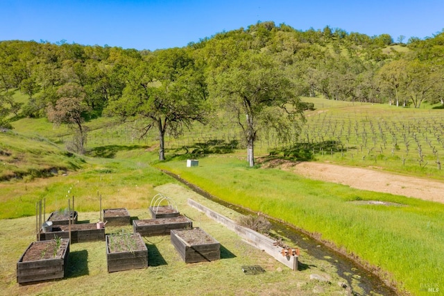 2200 Mcnab Ranch Rd, Ukiah, CA 95482 - exterior space with a rural view and a view of trees