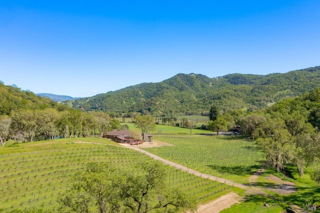 2200 Mcnab Ranch Rd, Ukiah, CA 95482 - property view of mountains with a rural view