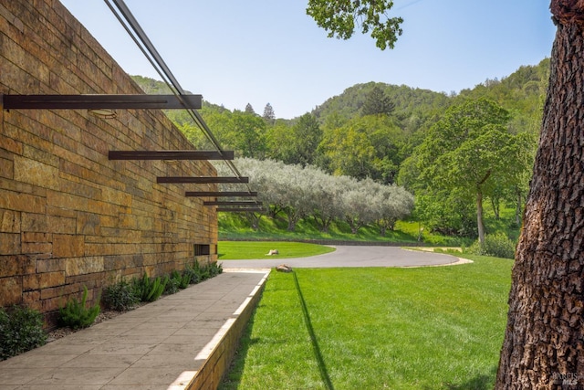 view of yard featuring a view of trees