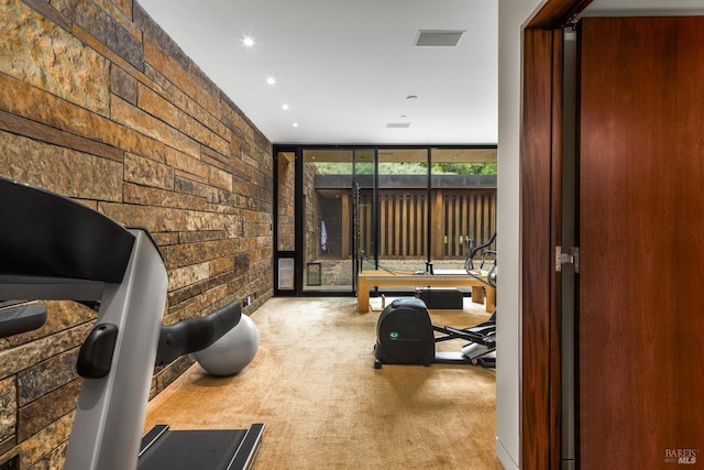 exercise area with carpet flooring and visible vents