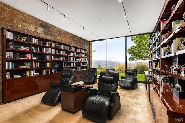 living area with track lighting, floor to ceiling windows, carpet flooring, and wall of books