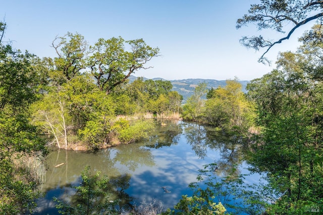water view with a mountain view and a view of trees