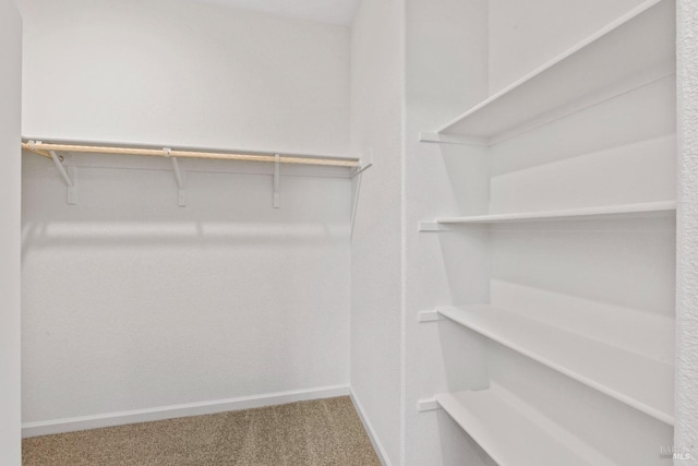 walk in closet with carpet floors