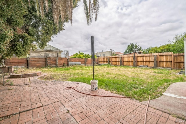 view of yard with a patio and a fenced backyard