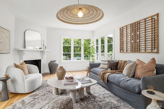 living room featuring wood finished floors and a fireplace