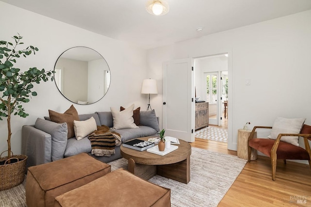 living area featuring light wood finished floors