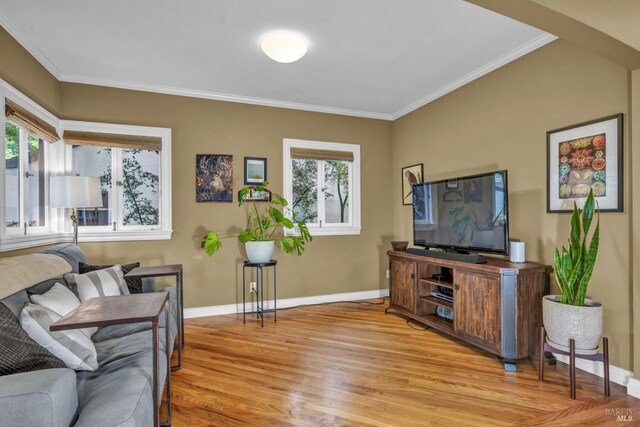 living area with ornamental molding, light wood-style flooring, and baseboards