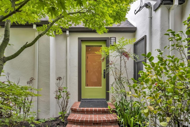 entrance to property featuring stucco siding