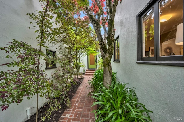 view of home's exterior featuring stucco siding