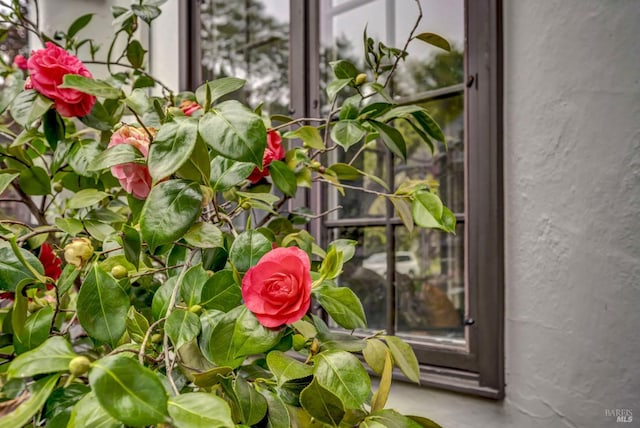 details with stucco siding