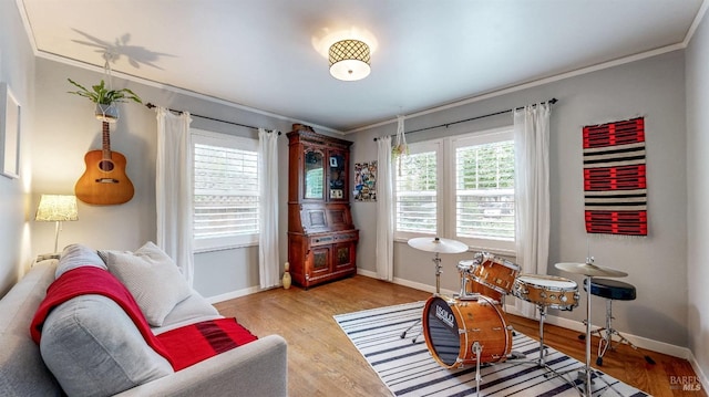 living area with ornamental molding, baseboards, and plenty of natural light