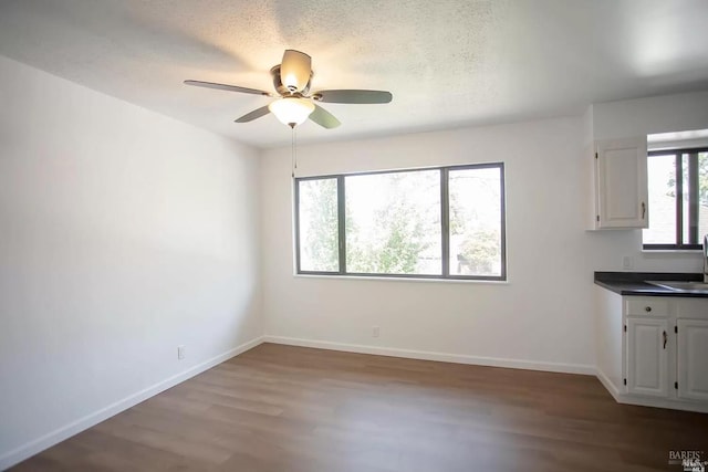 315 Baker St, Petaluma, CA 94952 - unfurnished dining area featuring a wealth of natural light, ceiling fan, a sink, and wood finished floors