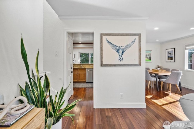 hallway featuring ornamental molding, dark wood finished floors, and a wealth of natural light