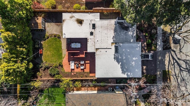 bird's eye view