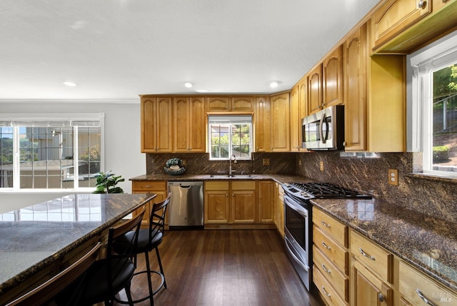 kitchen with tasteful backsplash, a sink, dark stone counters, stainless steel appliances, and dark wood-type flooring
