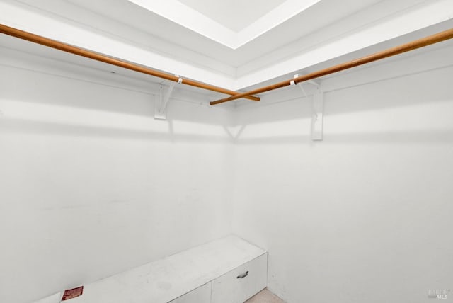 view of walk in closet