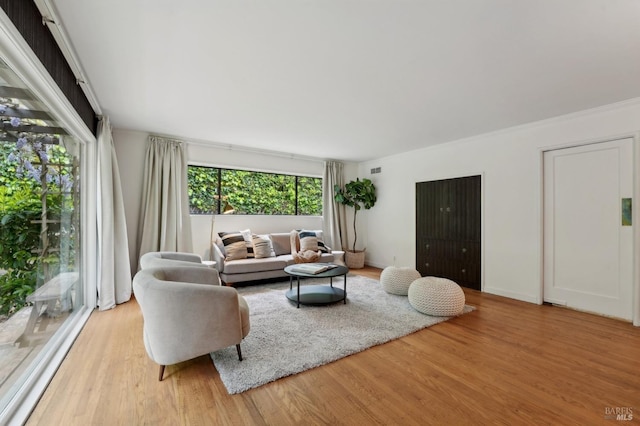 living area with wood finished floors