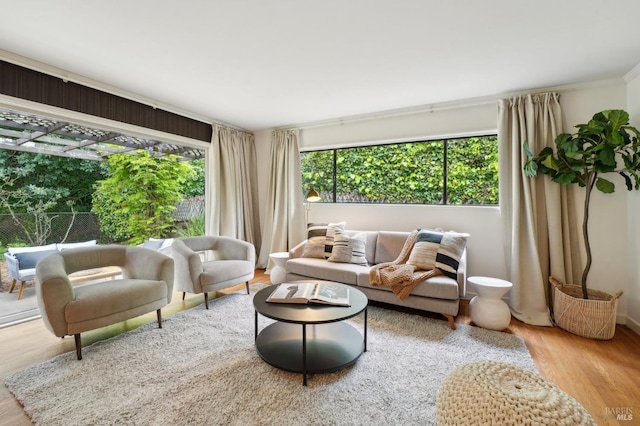 interior space featuring wood finished floors and crown molding