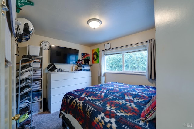 bedroom featuring carpet flooring