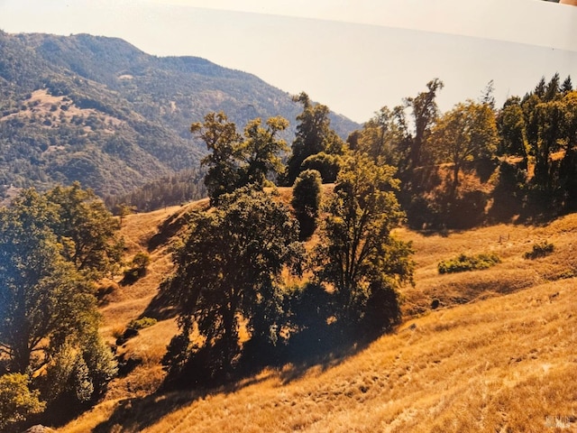 51211 Dunham Rd, Laytonville, CA 95587 - mountain view