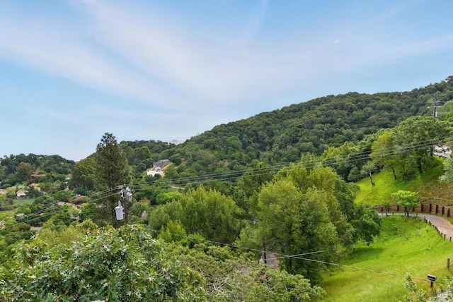 view of mountain feature featuring a view of trees