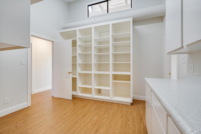 details with baseboards and wood finished floors