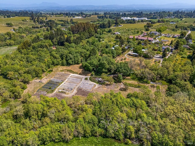 drone / aerial view