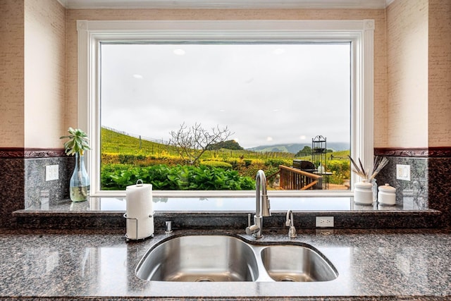 details with dark stone counters, crown molding, and a sink