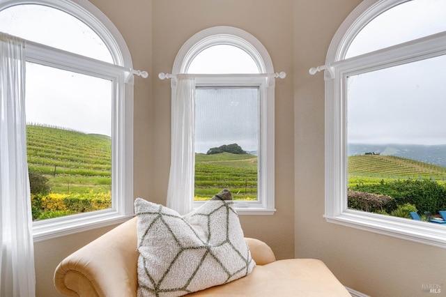 sitting room with a wealth of natural light