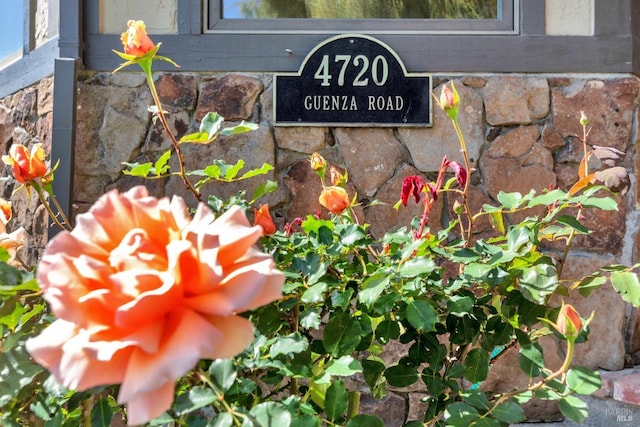 exterior details with a wood stove