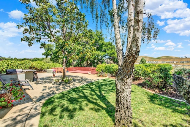 1163 Granada St, Vallejo, CA 94591 - view of grassy yard with a patio
